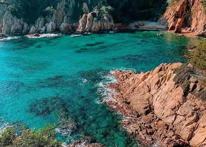 Ada * Blanes